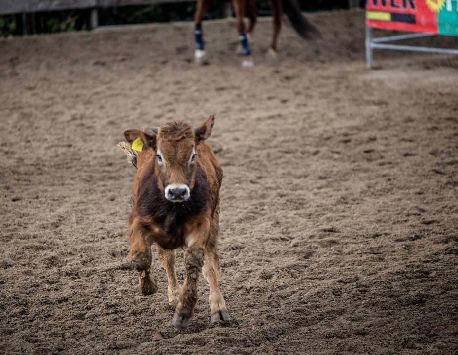 Belmonte Castello Belmonte Ranchヴィラ エクステリア 写真