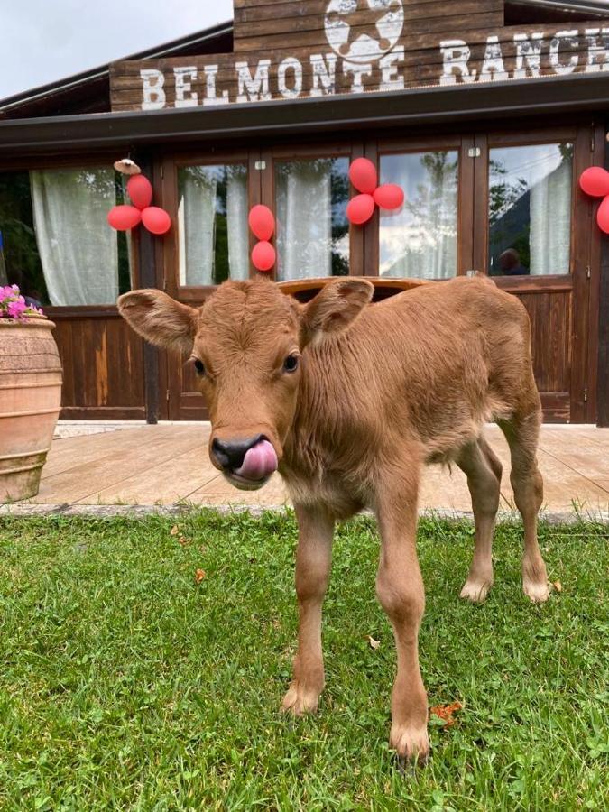 Belmonte Castello Belmonte Ranchヴィラ エクステリア 写真